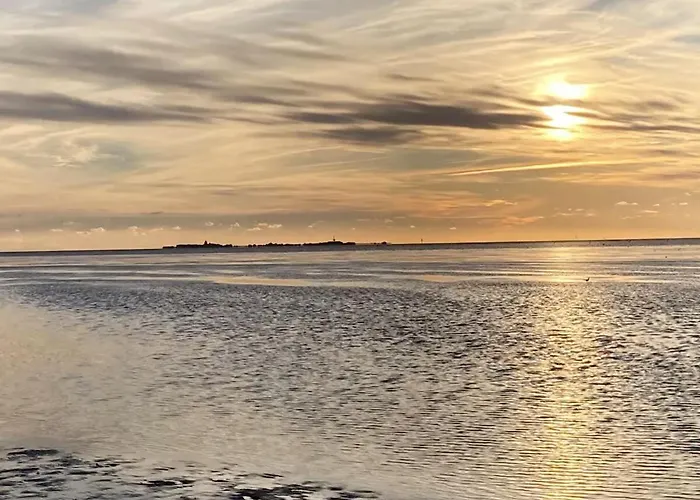 Moinmoin * דורום נויפלד