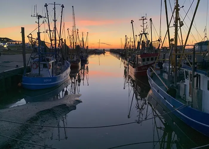 Moinmoin בית נופש *